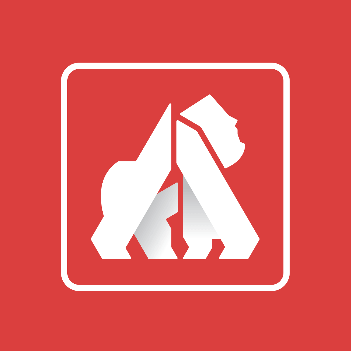 Kong Academy icon